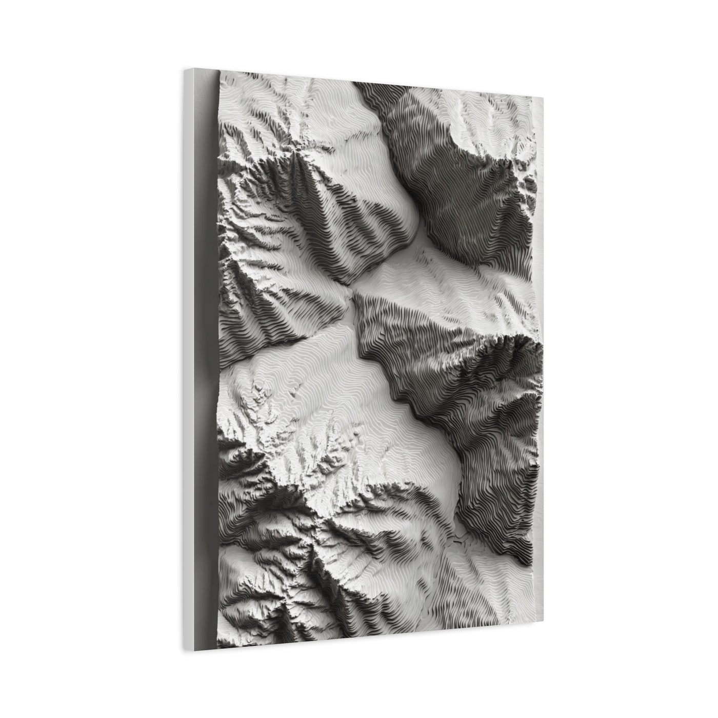 Sculpted Topographic Relief Wall Art & Canvas Print