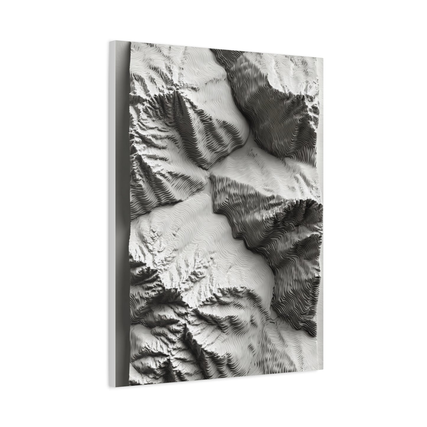 Sculpted Topographic Relief Wall Art & Canvas Print