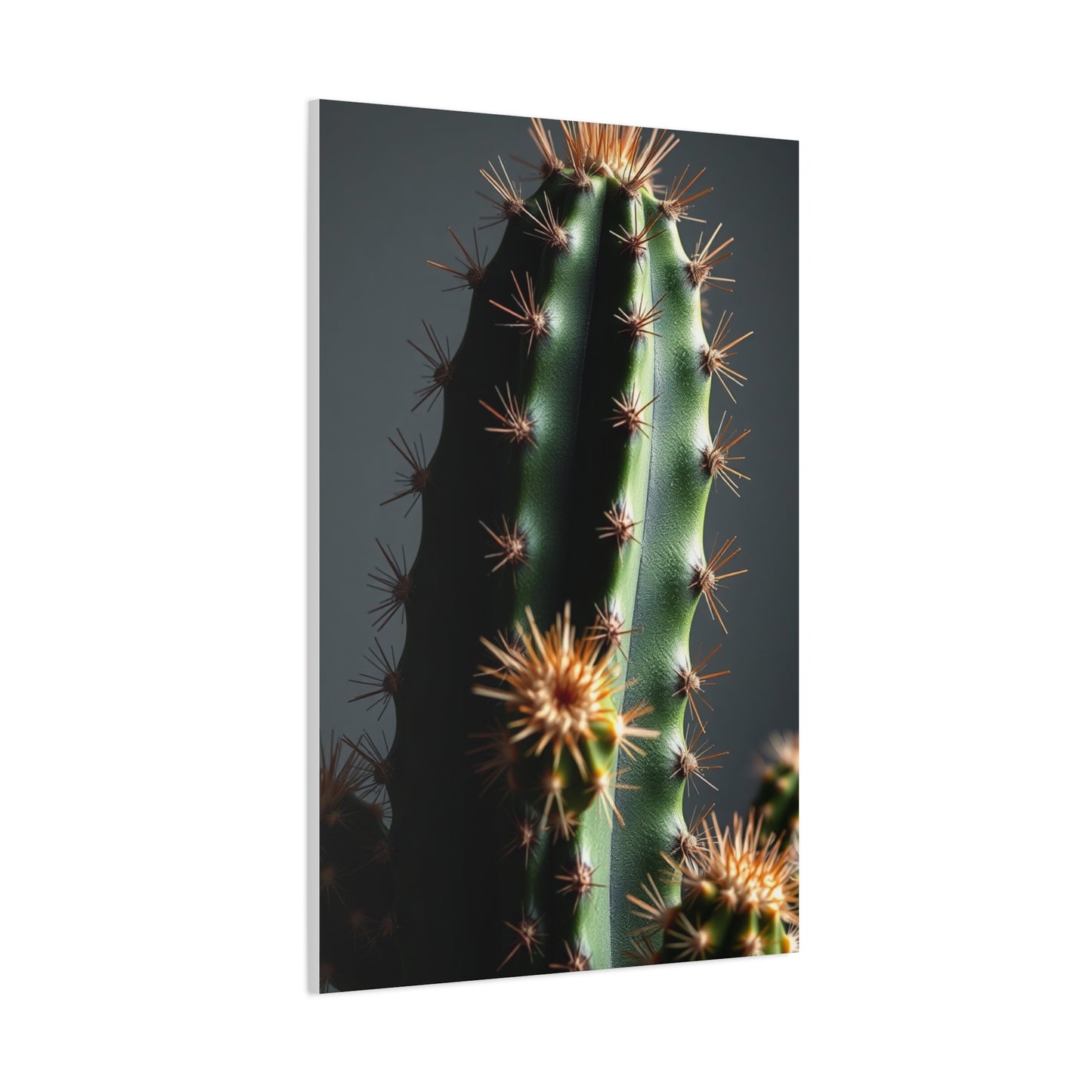 Thorned Tranquility Art Wall Art & Canvas Print