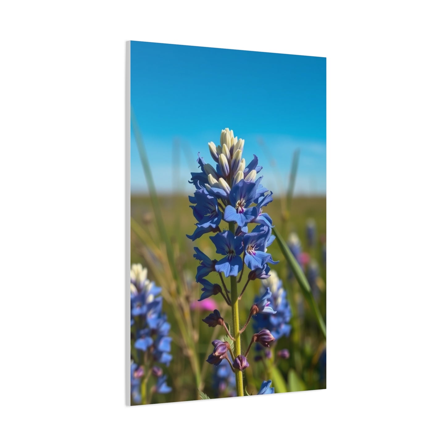 Bluebonnet Flower Art Premium Gallery Wall Art & Canvas Print