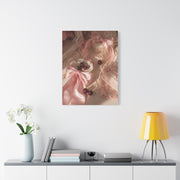 Coquette Satin Bow Still Life Wall Art & Canvas Print