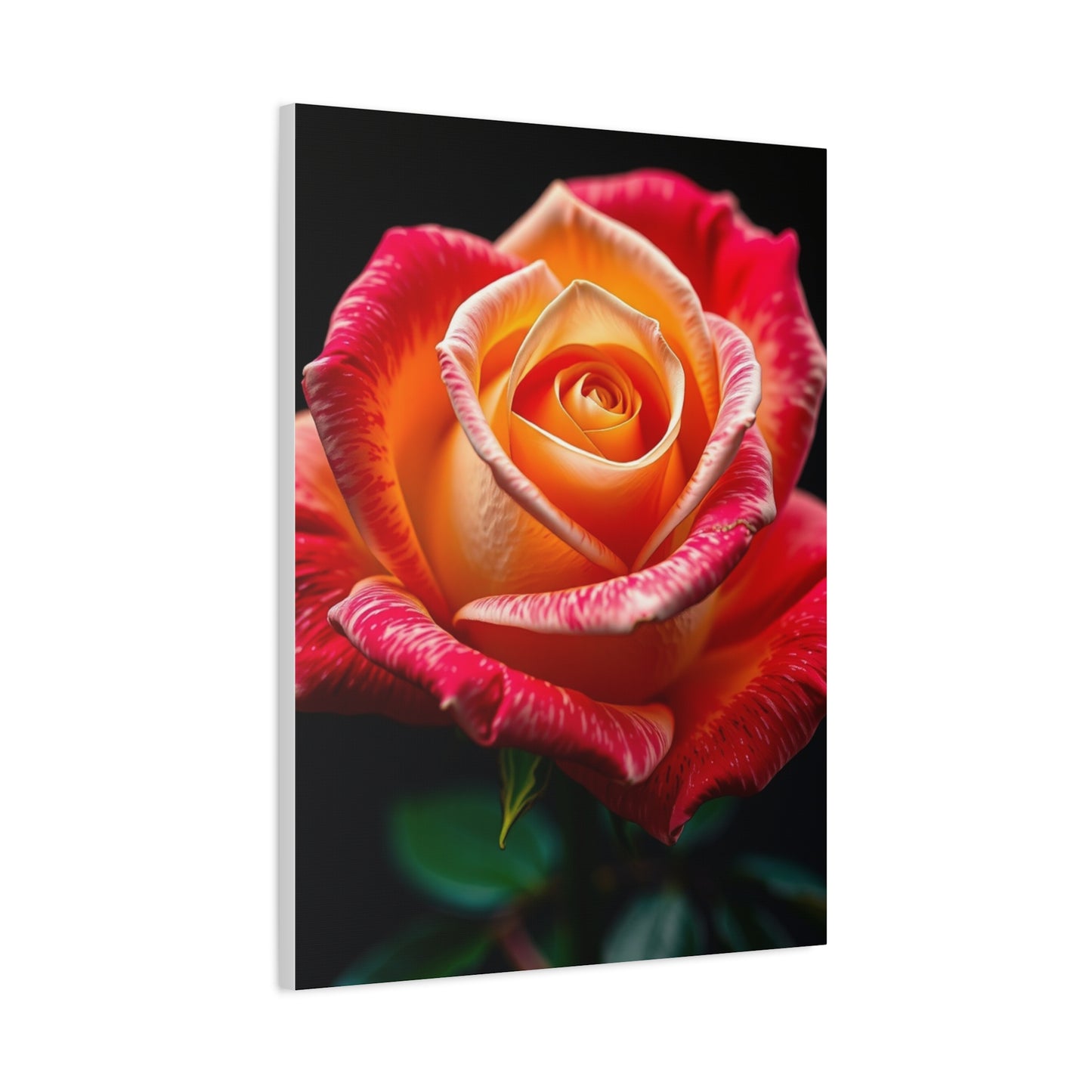 Supreme Rose Art Beautiful Collection Wall Art & Canvas Print