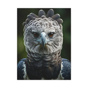 Regal Harpy Eagle Portrait Wall Art & Canvas Prints