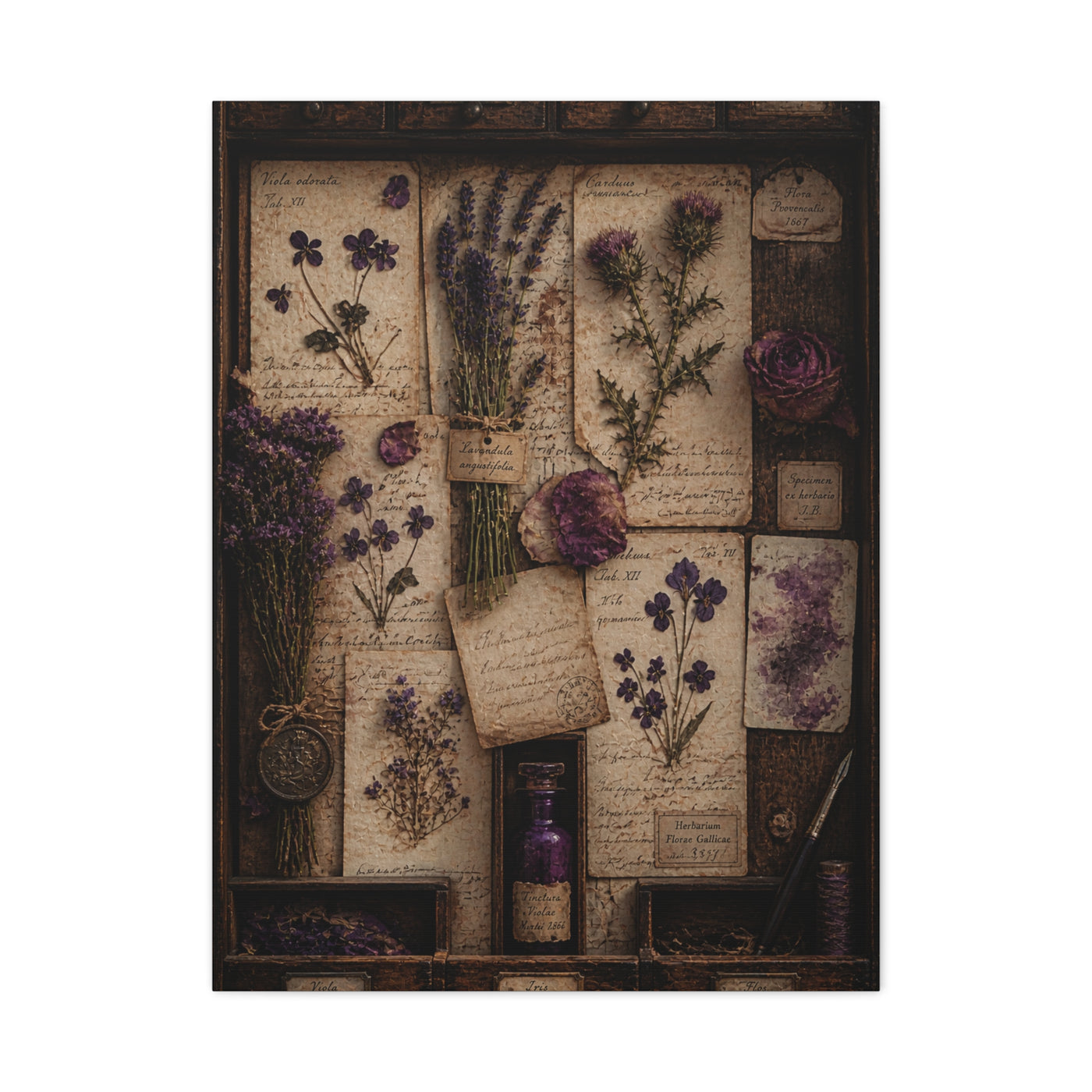 Antique Botanical Herbarium Study Wall Art & Canvas Print