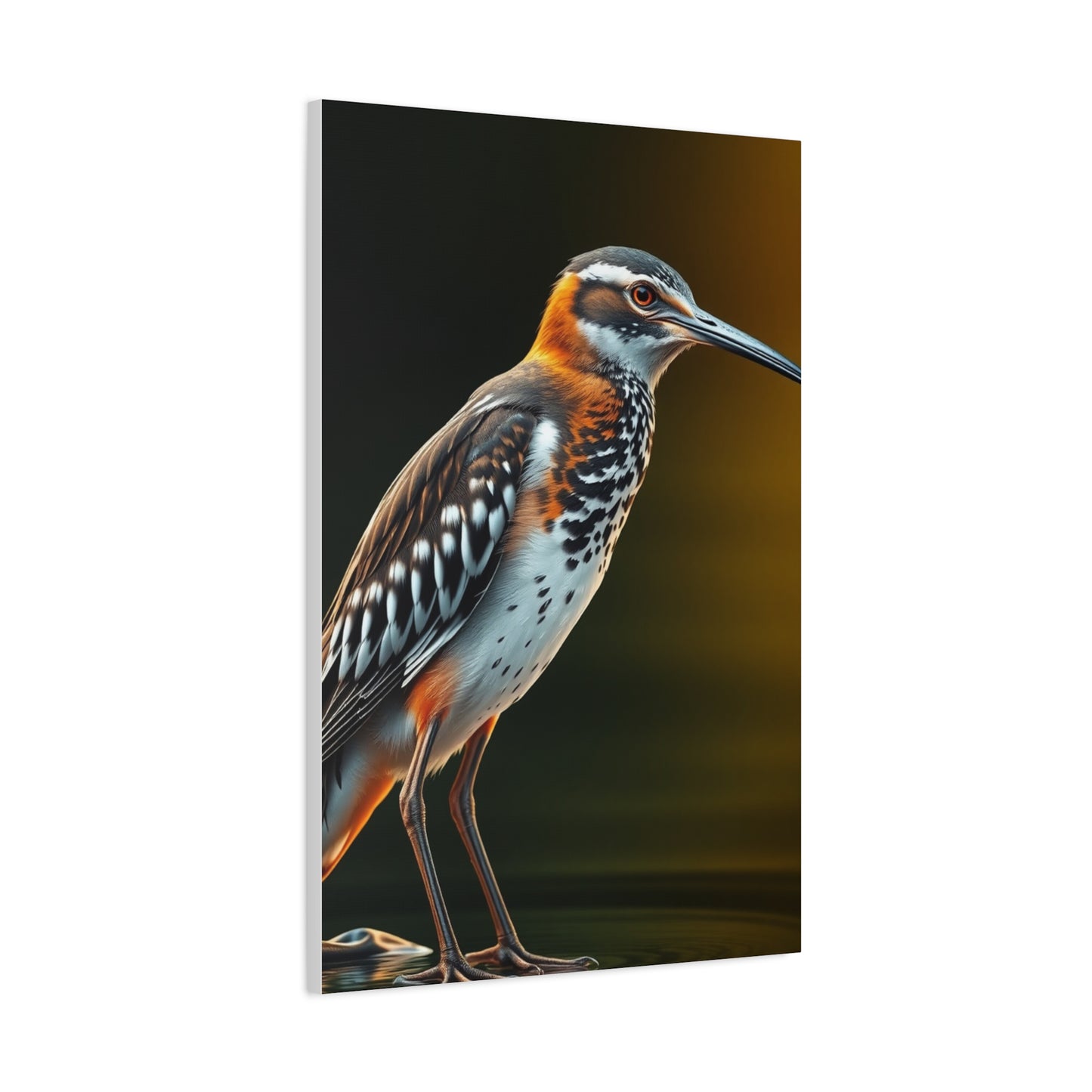 Supreme Sandpiper Art Beautiful Collection Wall Art & Canvas Print