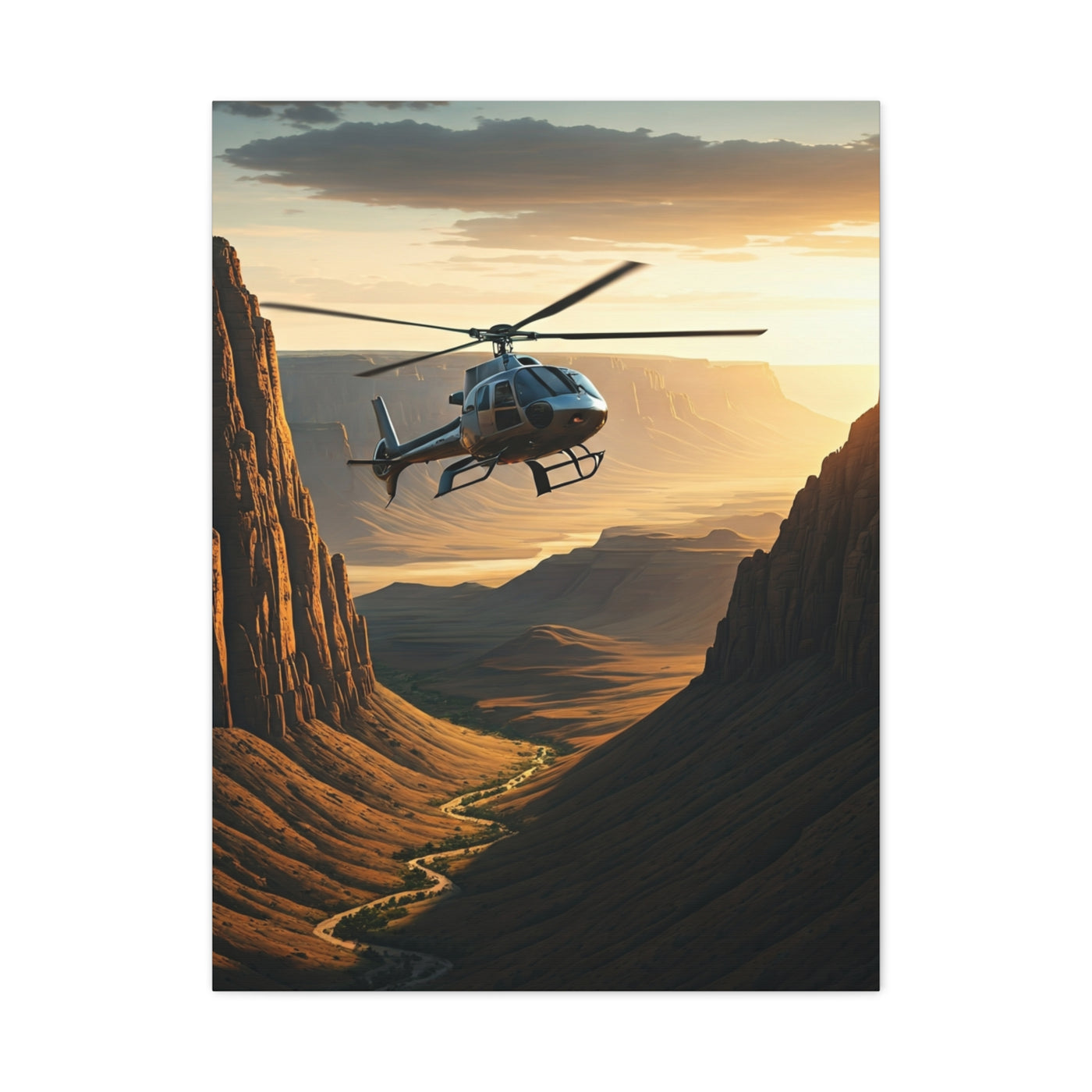 Helicopter Canyon Expedition Wall Art & Canvas Prints