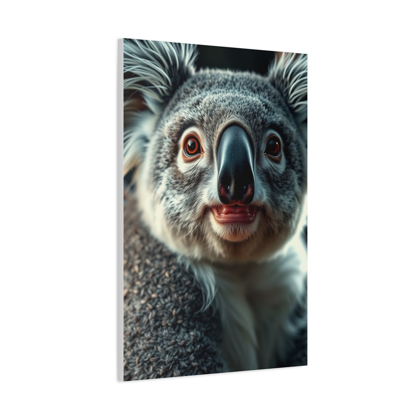 Collection Koala Art Art Wall Art & Canvas Print