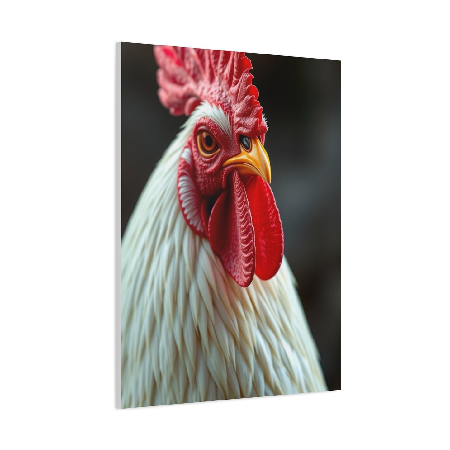 Elite Chicken & Rooster Wall Art Vision Wall Art & Canvas Print