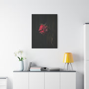 Withered Crimson Rose Still Life Wall Art & Canvas Print