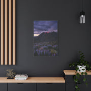 Volcanic Twilight & Wild Lupines Wall Art & Canvas Print