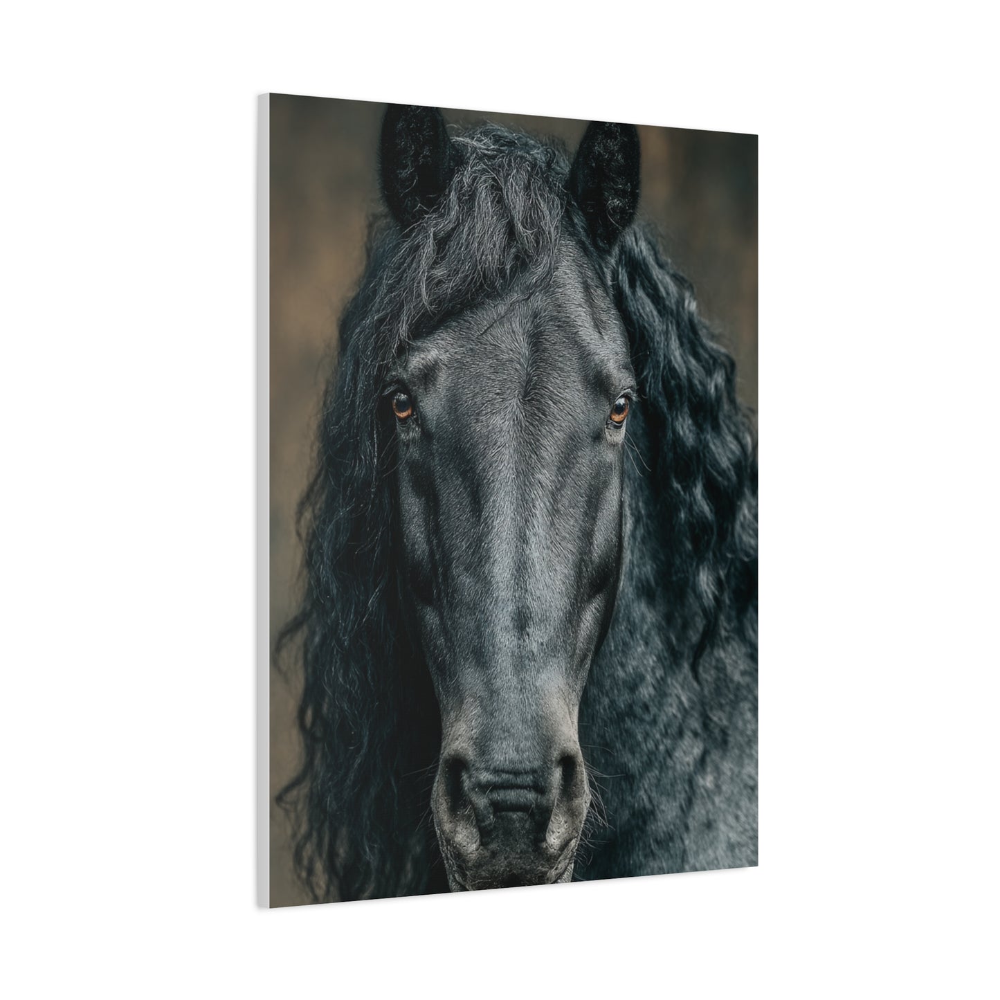 Black Horse Frontal Portrait Wall Art & Canvas Print