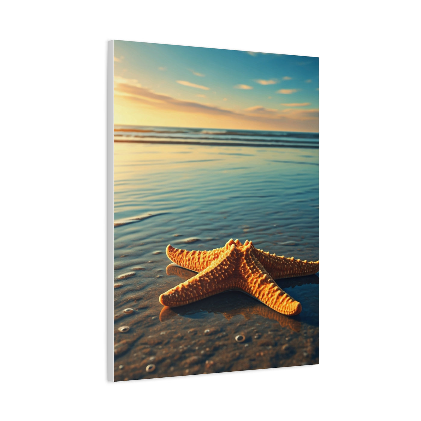 Starfish Resting in Shallow Sunset Waters Wall Art & Canvas Prints