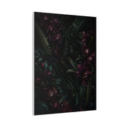 Tropical Noir Orchid Midnight Romance Wall Art & Canvas Print