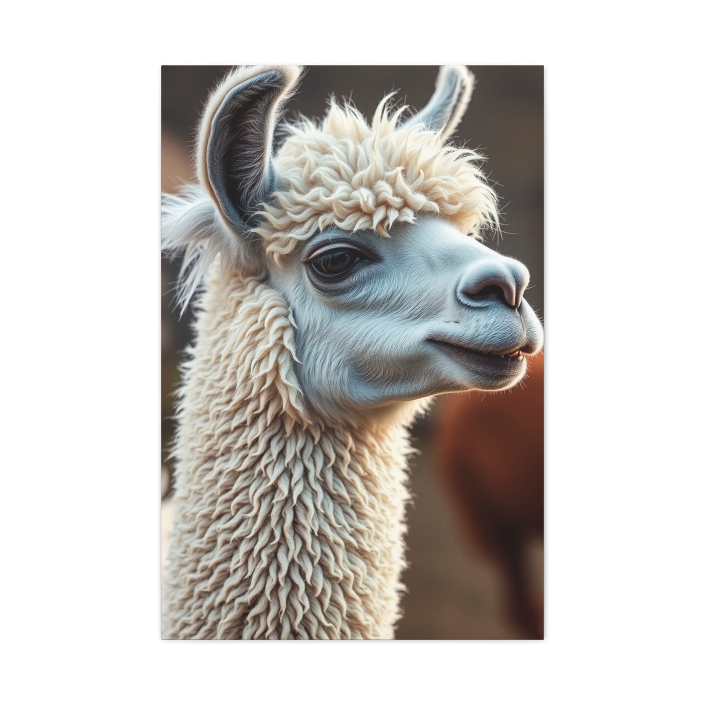 Collection Llama & Alpaca Art Art Wall Art & Canvas Print
