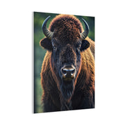 Vibrant Prairie Bison with Natural Green Backdrop Wall Art & Canvas Print