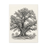 Detailed Engraved Oak Study Trees Wall Art & Canvas Print