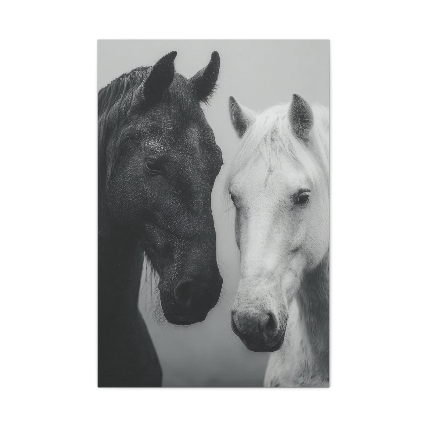 Intimate Dual Horse Monochrome Wall Art & Canvas Print