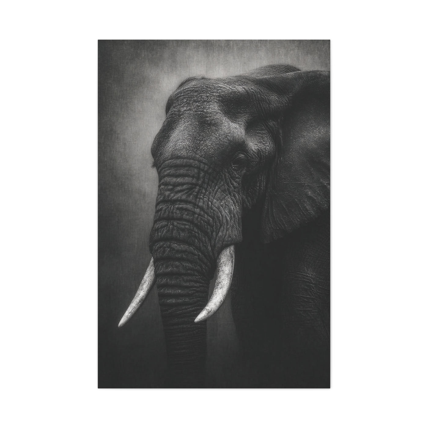 Monochrome Elephant Fine Art Portrait Wall Art & Canvas Print