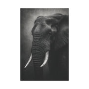 Monochrome Elephant Fine Art Portrait Wall Art & Canvas Print