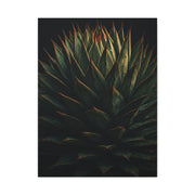 Emerald Agave Close-Up Wall Art & Canvas Prints