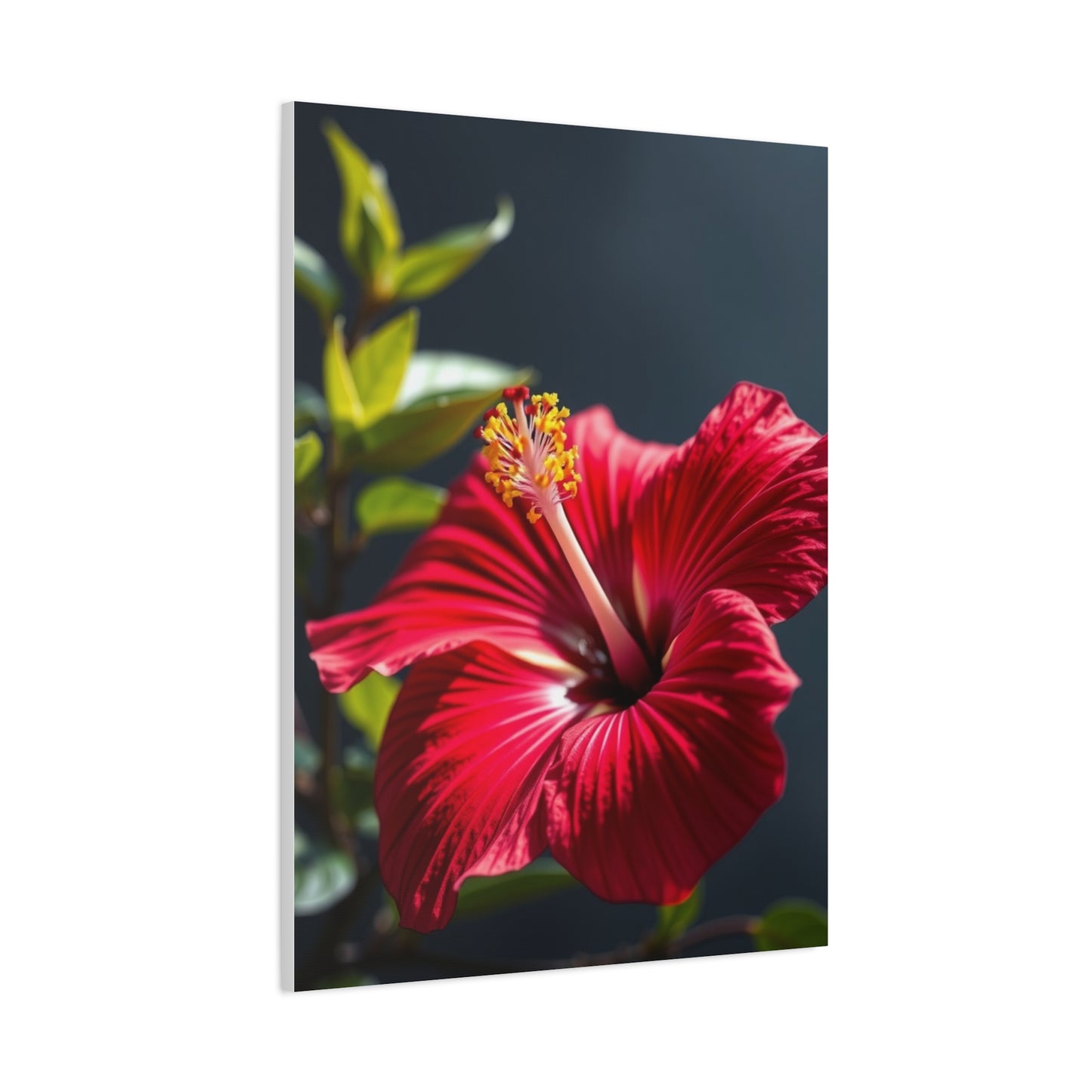 Hibiscus Flower Art Supreme Canvas Wall Art & Canvas Print