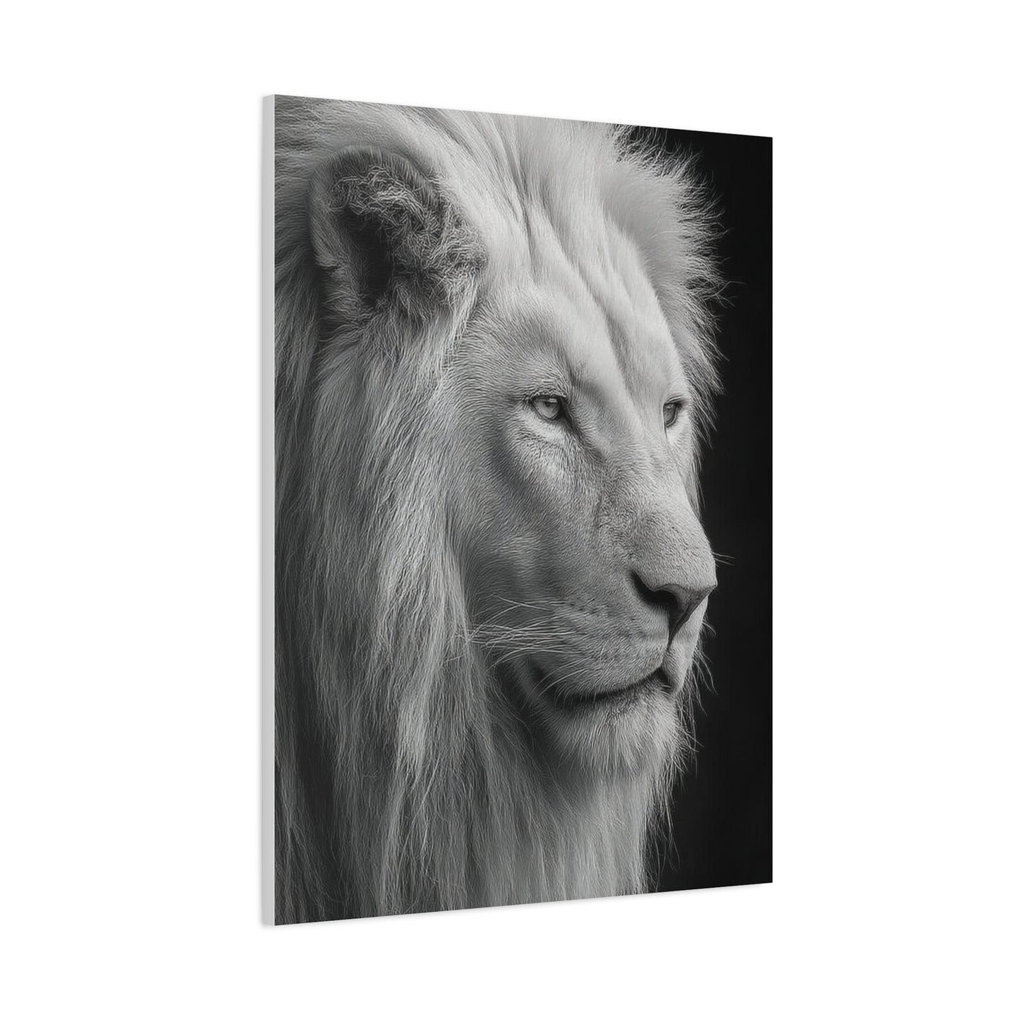 White Lion Monochrome Close Portrait Wall Art & Canvas Print