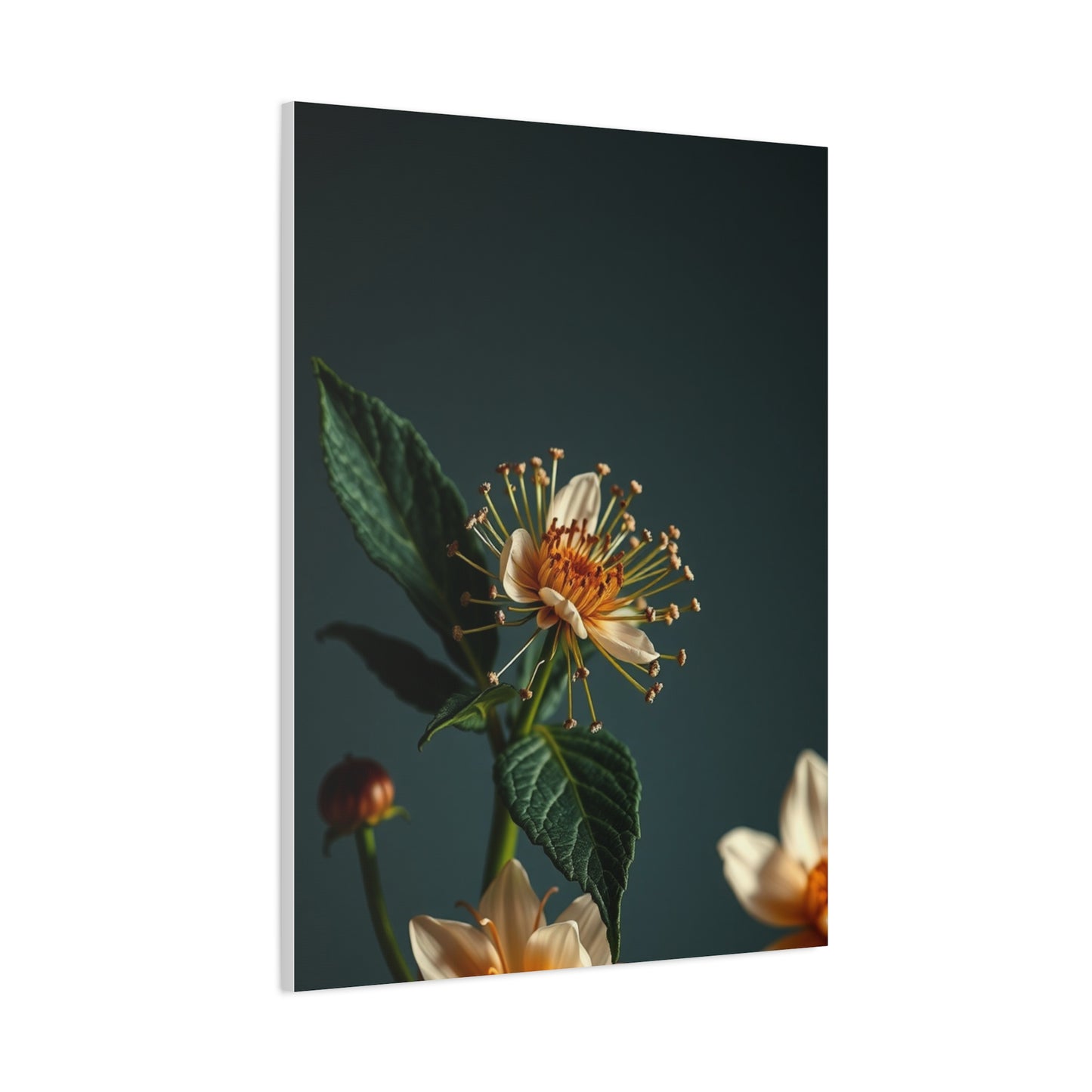 Supreme Flowers and Botanicals Art Collection Wall Art & Canvas Print
