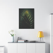 Agave Pinnacle Majesty Wall Art & Canvas Prints