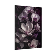 White Orchid and Magnolia Night Floral Wall Art & Canvas Print