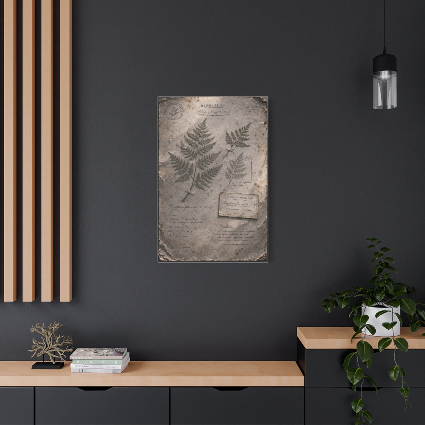 Antique Fern Herbarium Archive Wall Art & Canvas Print