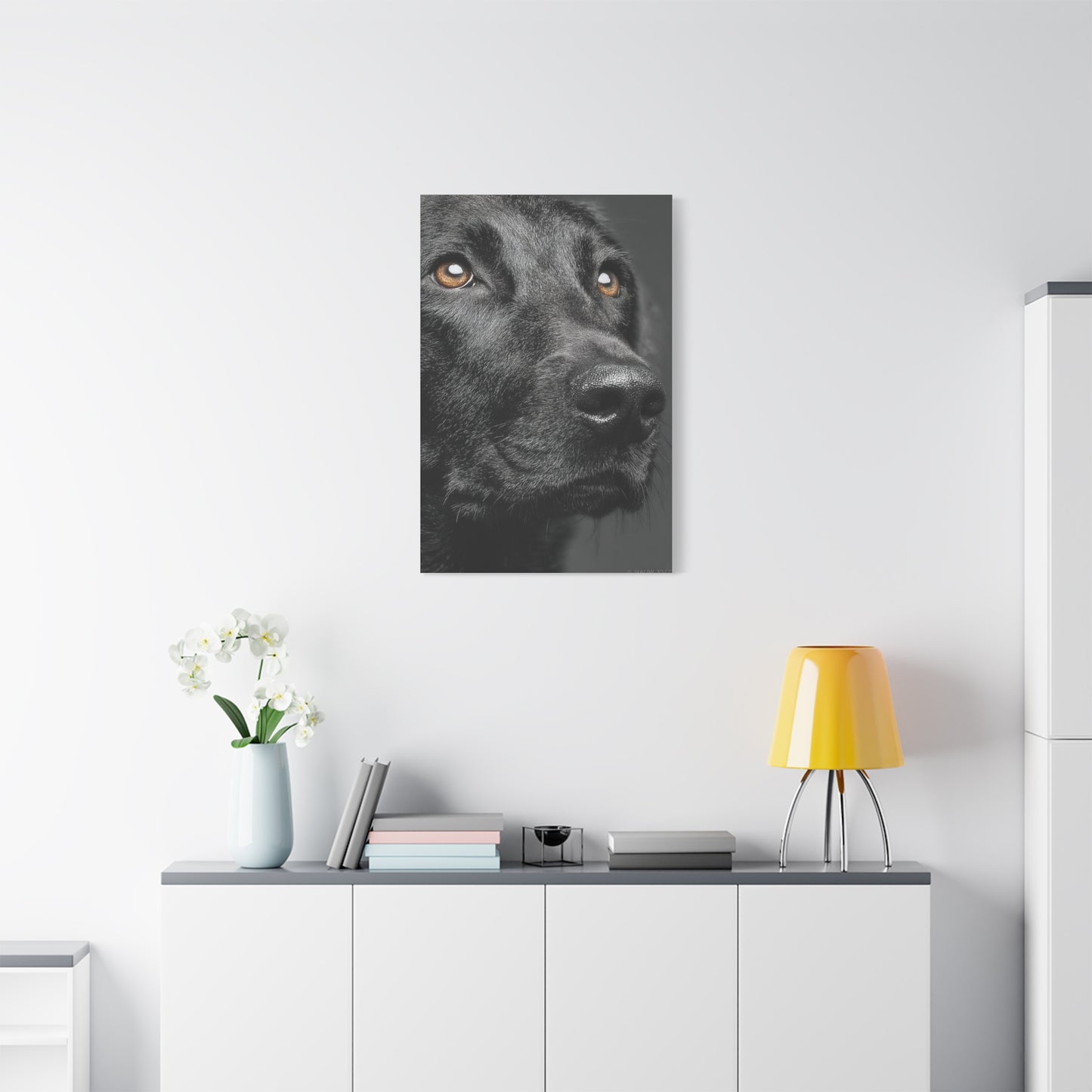 Black Labrador Fine Art Close-Up Wall Art & Canvas Print