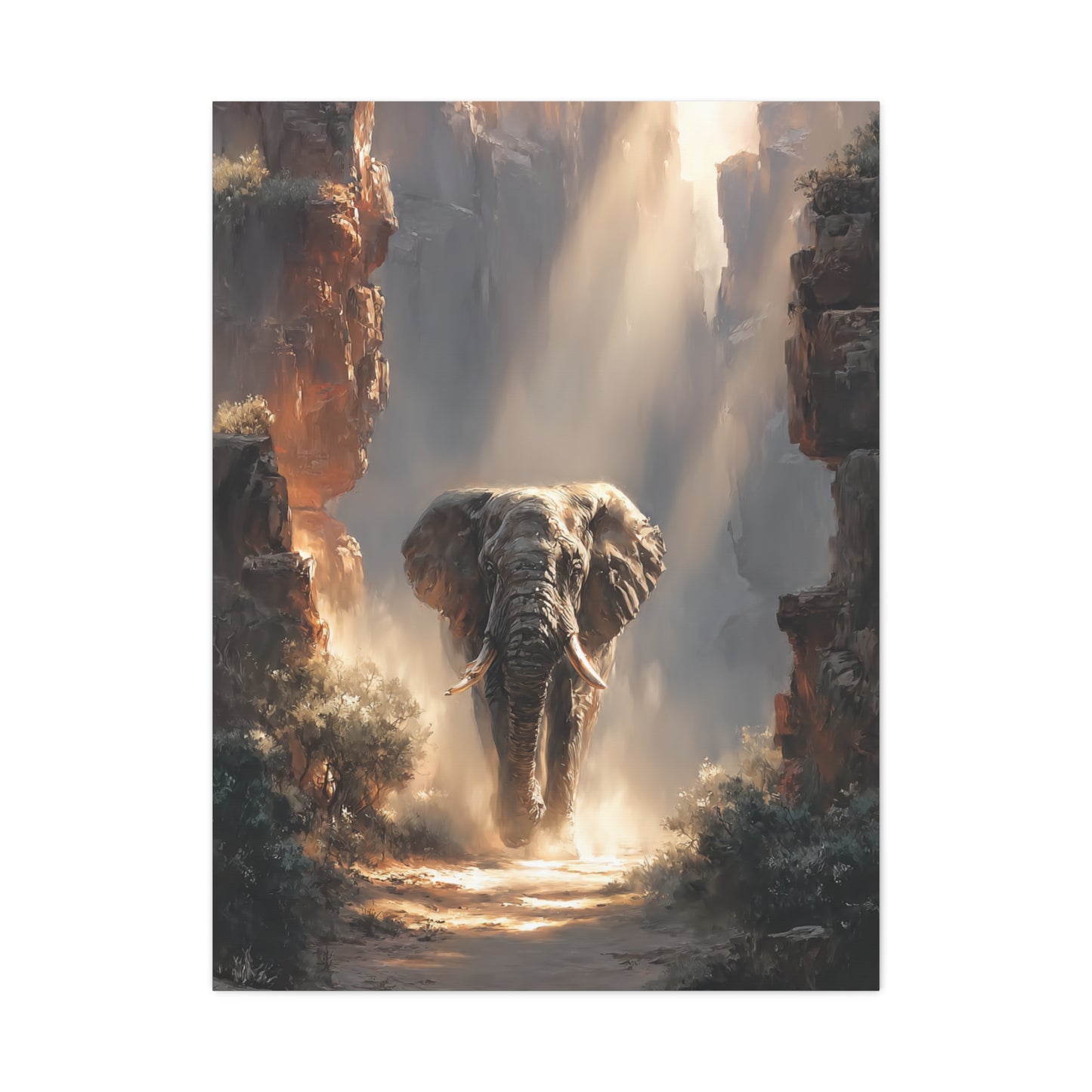 Elephant Canyon Light Passage Wall Art & Canvas Print
