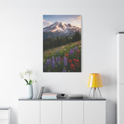 Mount Rainier Wildflower Meadow Wall Art & Canvas Print