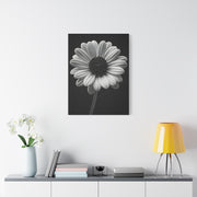 Bold Daisy Contrast Portrait Wall Art & Canvas Prints