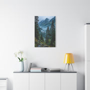 Misty Alpine Forest Valley Wall Art & Canvas Print