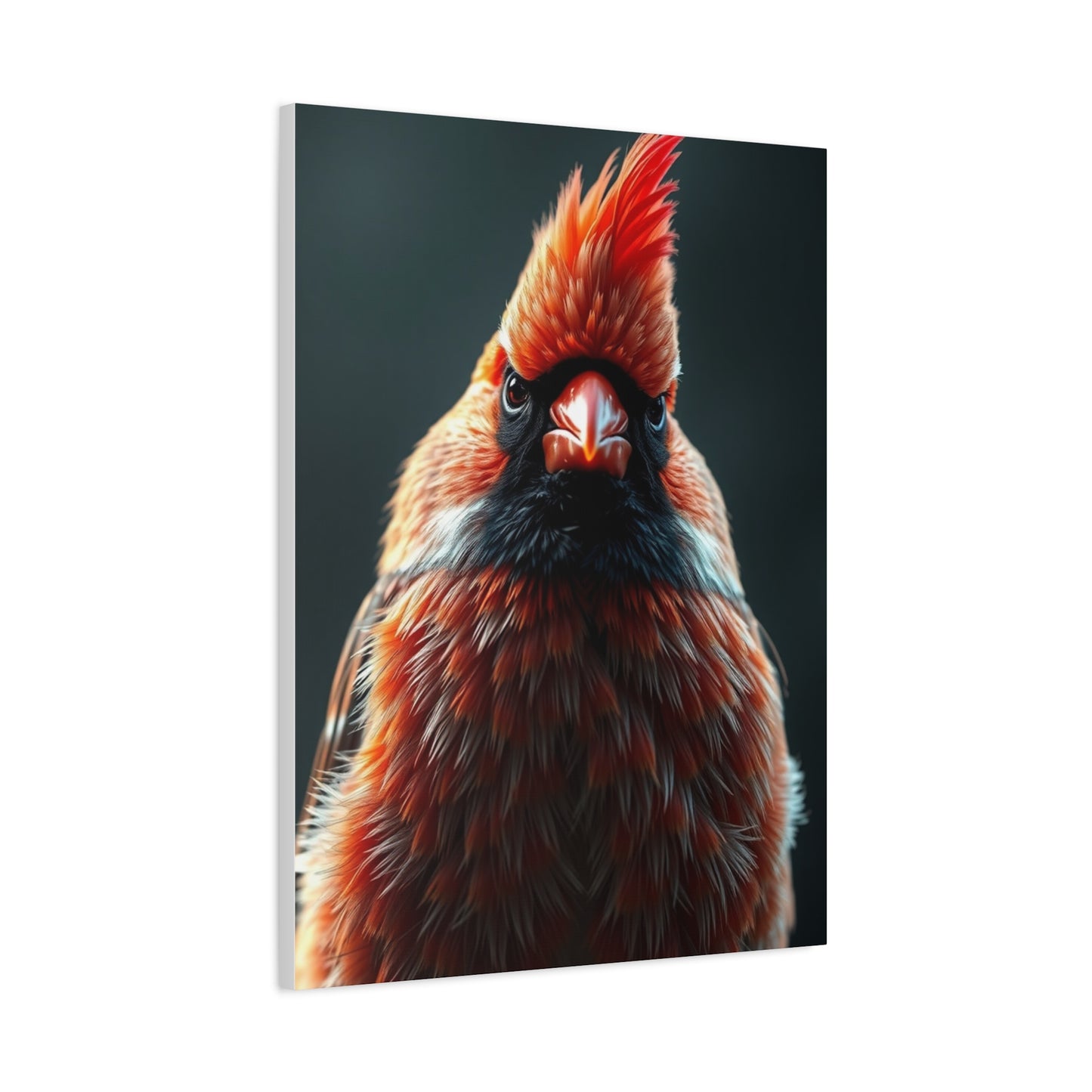 Supreme Cardinal Art Beautiful Collection Wall Art & Canvas Print
