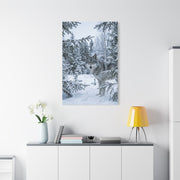 Winter Forest Wolf Natural Encounter Scene Wall Art & Canvas Print