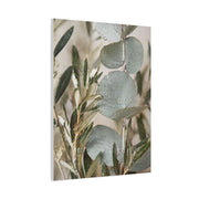 Botanical Eucalyptus Close-Up Wall Art & Canvas Print