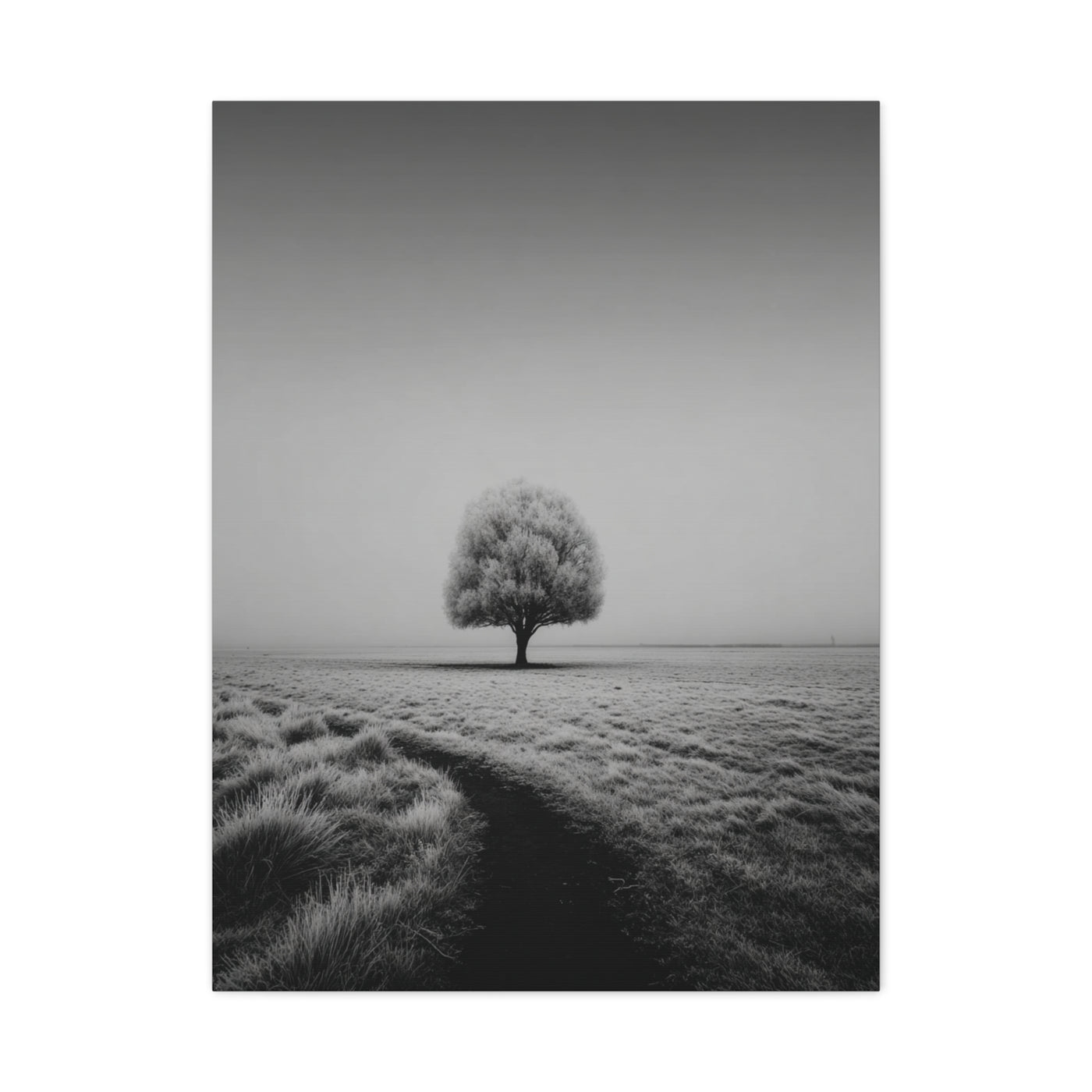 Lone Tree Winter Field Wall Art & Canvas Print