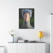 Majestic Shoebill Stork Close-Up Wall Art & Canvas Prints