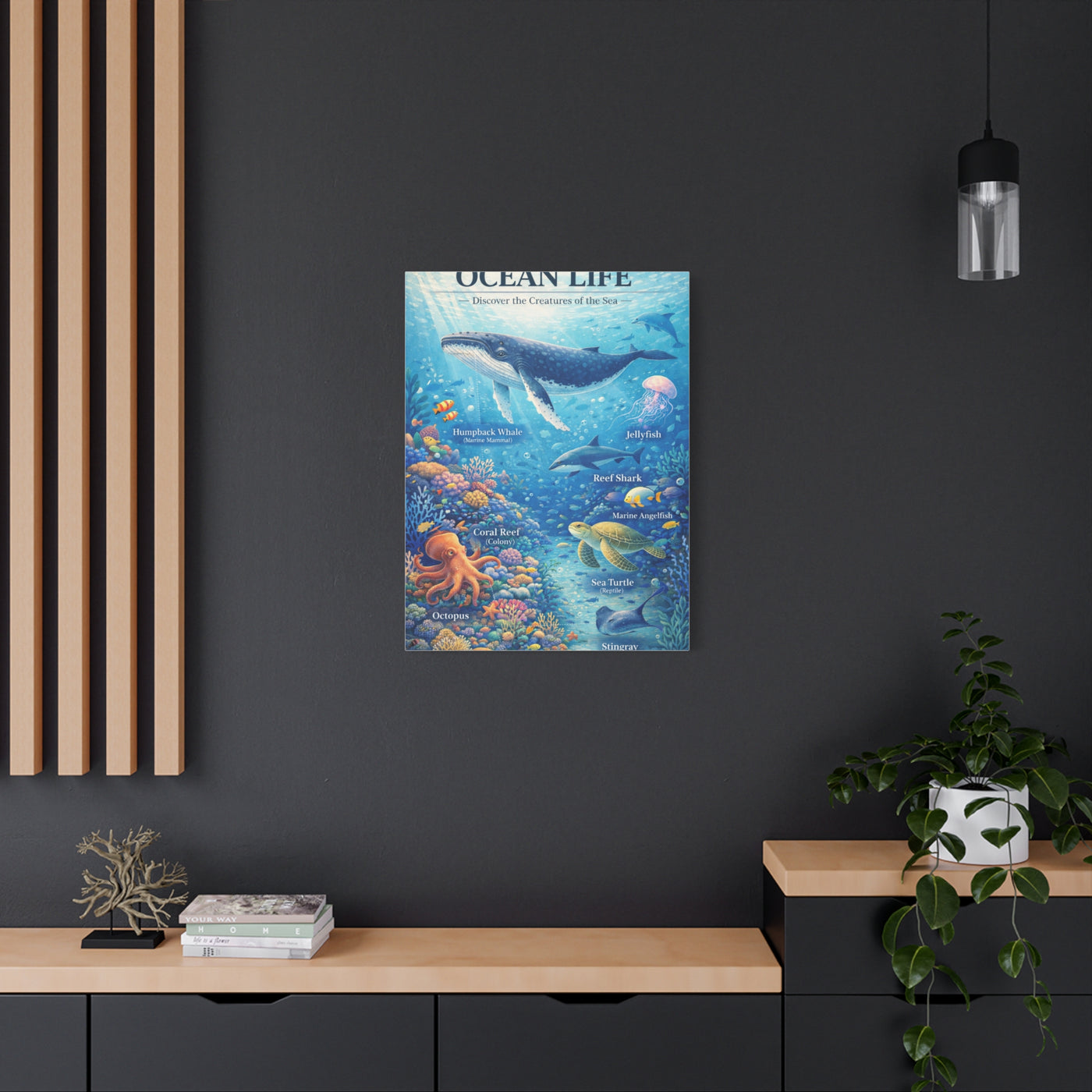 Ocean Life Educational Diagram – Wall Art & Canvas Print