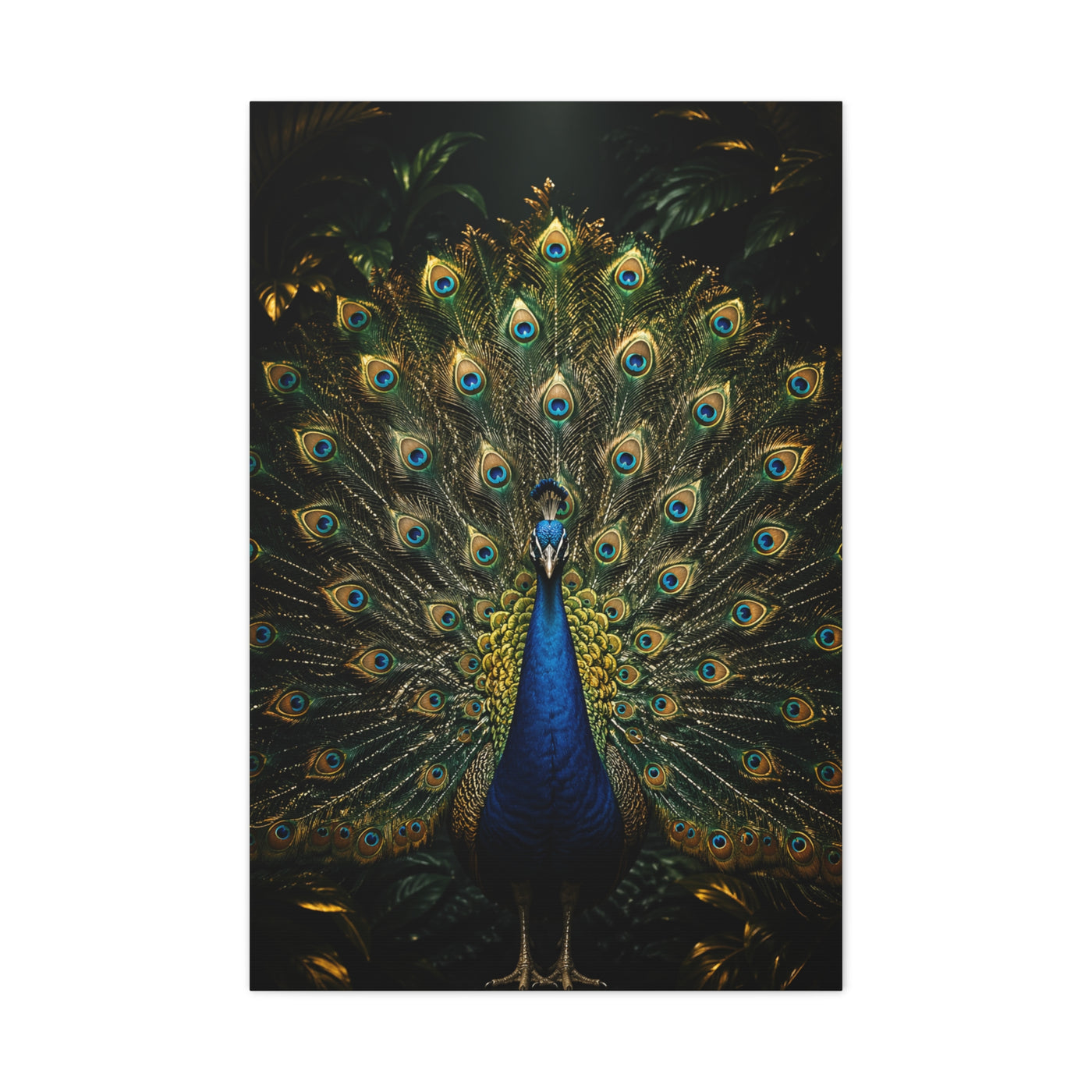Opulent Jungle Peacock Display Wall Art & Canvas Print