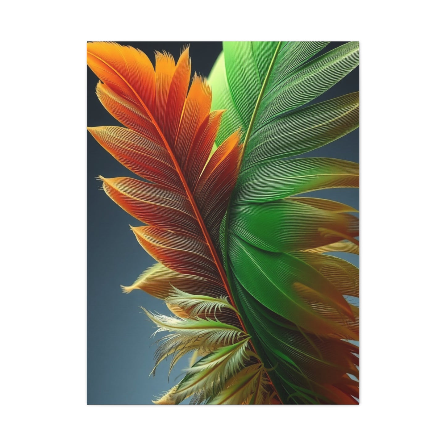 Supreme Feather Art Beautiful Collection Wall Art & Canvas Print