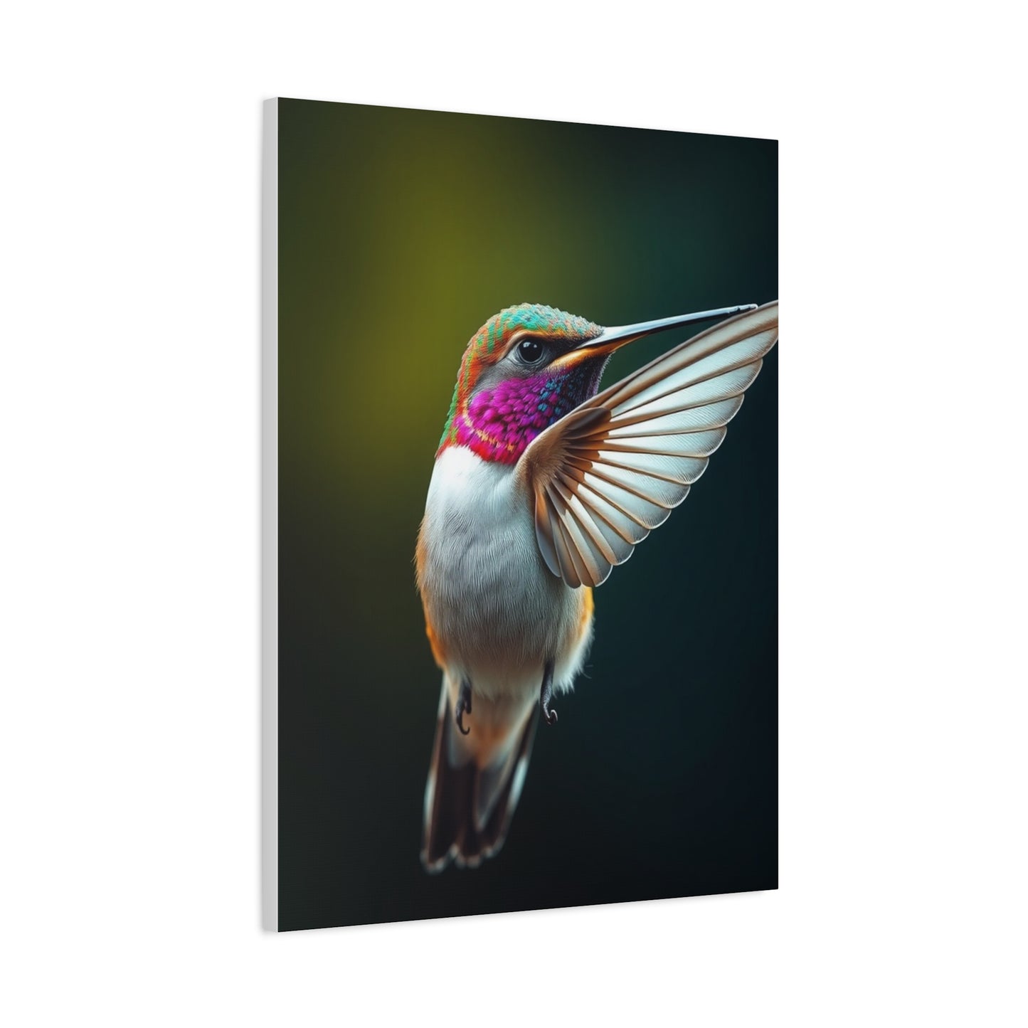 Humming Bird Art Supreme Canvas Wall Art & Canvas Print