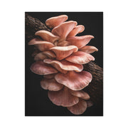 Blush Pink Oyster Mushroom Macro Study Wall Art & Canvas Print