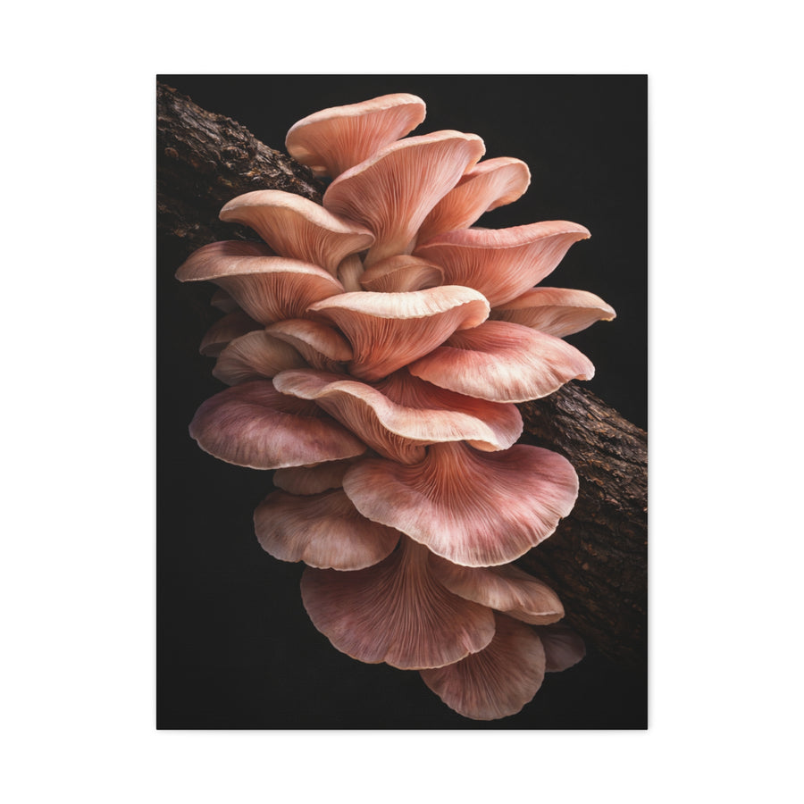 Blush Pink Oyster Mushroom Macro Study Wall Art & Canvas Print