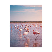 Crocodile Sunset Waterscape Wall Art & Canvas Prints