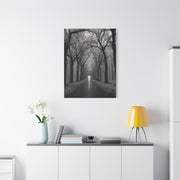 Misty Tree Avenue Monochrome Wall Art & Canvas Print