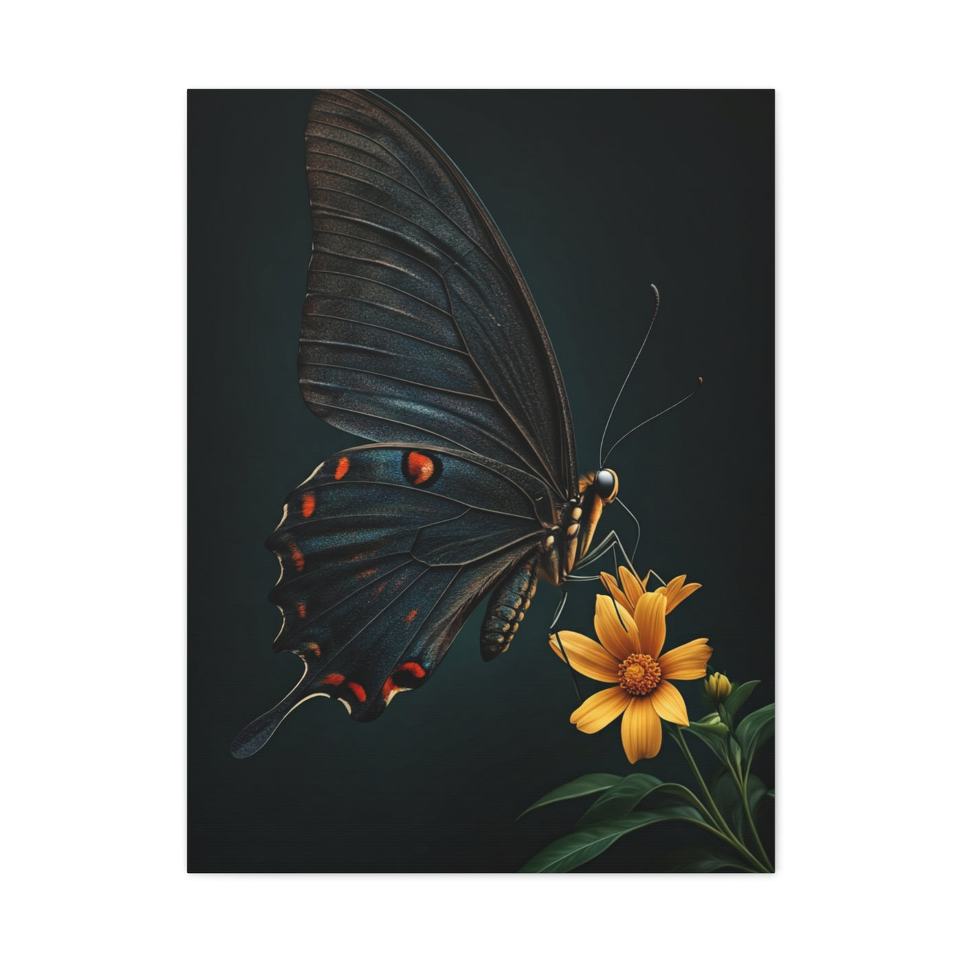 Midnight Black Butterfly On Wildflower Wall Art & Canvas Prints