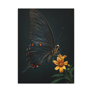 Midnight Black Butterfly On Wildflower Wall Art & Canvas Prints